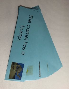 Blue Sentence Card with Picture