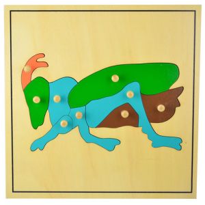 Cricket Puzzle