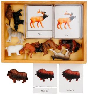 Canadian Animals