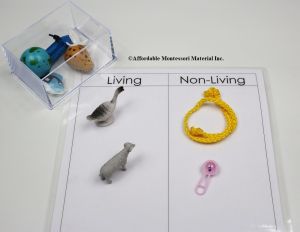 Living - Non-Living Classification