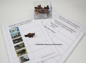 Animals of North America