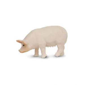 Pigs
