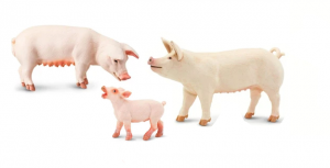 Pig, sow and piglet