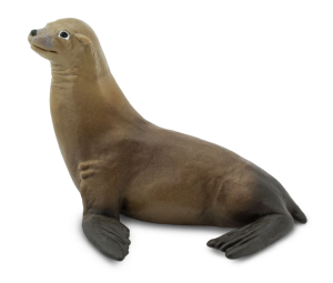 Sea Lion
