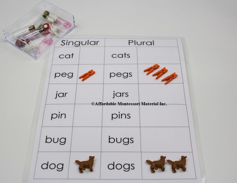 Singular and Plural Classification